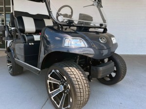 Arctic Grey Evolution Pro Plus Golf Cart Tidewater 04